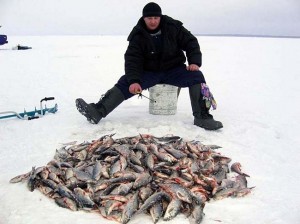 Одежда для рыбалки в разные сезоны года
