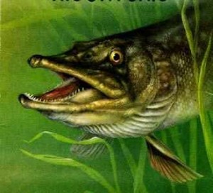 pike